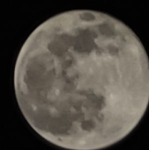 Meet your Posher, Misti